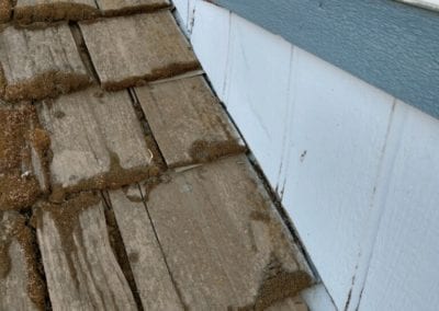 Damaged wood roofing tiles.